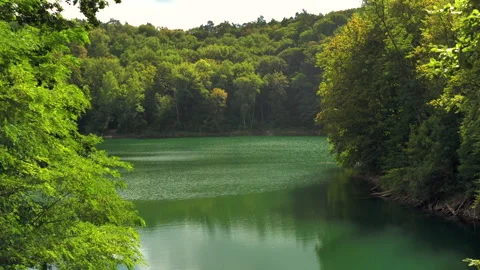 Emerald forest lake framed by green tree foliage Stock Footage 346538180