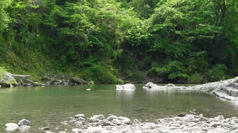 Emerald Green Clear Stream of the Atago River in Hamamatsu, Japan Stock Footage 334989027