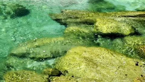 Emerald green crystal clear water boulder beach Stock Footage 280496602