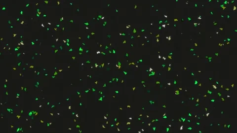 Emerald Green Falling Bokeh Particles on Black Background Footage Stock Footage 342205738