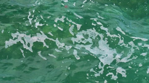 Emerald green ocean waves with whimsical white foam patterns Stock Footage 278045841