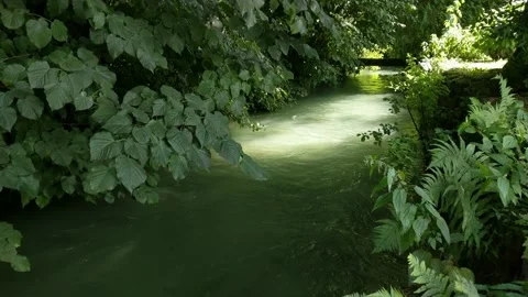 Emerald green river flowing under lush green vegetation Video stock 133281253