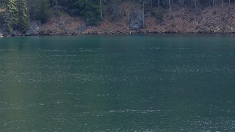 An emerald green river with a forest in the background. Slow motion. Stock Footage 88644060
