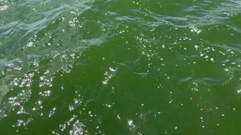 Emerald green water surface with small waves and sunlight reflections. Vidéo 333380321