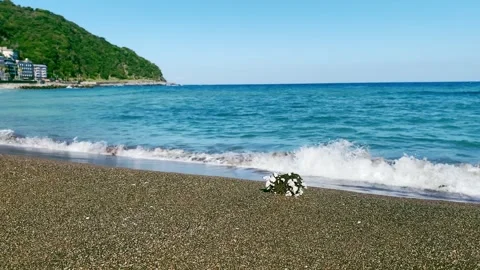 Emerald Green Waves Lapping on a Sunny Coastline2 Stock Footage 288094699