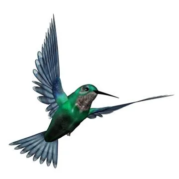Emerald hummingbird - 3D render Stock Illustration
