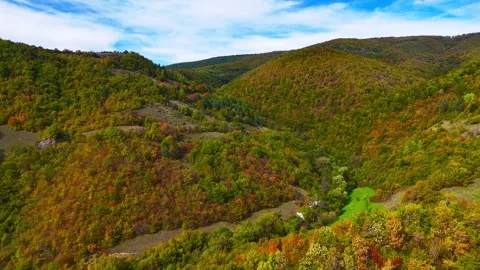 Emerald Kingdom Stock Footage 306903652