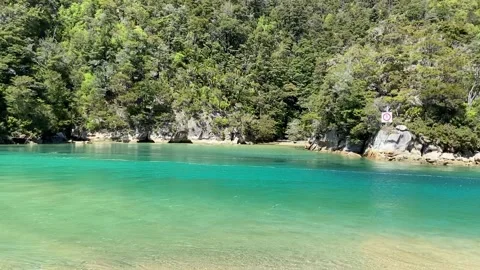 Emerald lagoon in Abel Tasman Vidéo 343952965