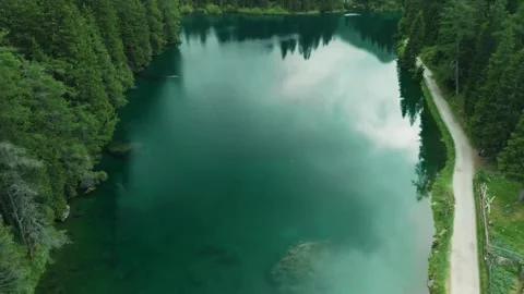 Emerald lake drone, tranquil forest reflections, lush pine forest Stock Footage 311420850