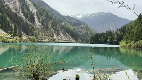 Emerald Lake with Mountain Reflections and Submerged Logs at Jiuzhaigou Valley, Stock Footage 337328799