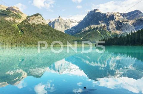 Emerald lake Stock Photos
