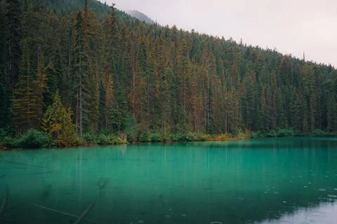 Emerald lake surrounded by a dense forest, tranquility amidst nature Stock Photos
