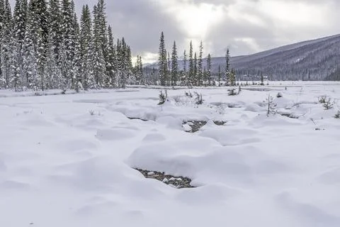 Emerald Lake in Winter Stock Photos