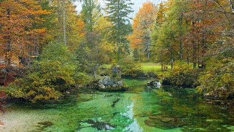 Emerald magic green reflection in crystal clear water. Stock Footage 119557728