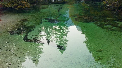 Emerald magic green trees reflection in crystal clear water. Stock Footage 119557719