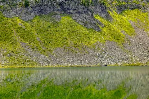 Emerald Mountain Lake Stock Photos