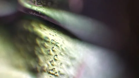 Emerald organic surface in ultra close-up macro video footage Stock Footage 261280188