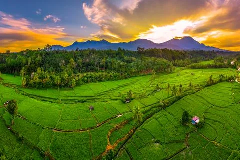 Emerald Panorama of Mountain Fields, Bali, Indonesia, Asia Stock Photos