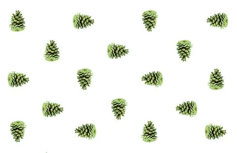 Emerald pattern natural pine cone background design backdrop vegetable eco ba Stock Photos