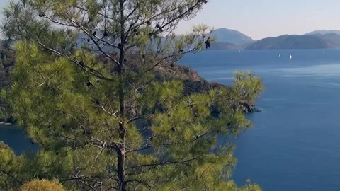 Emerald Pines Frame Tranquil Oludeniz Bay Turkey Stock Footage 338358389