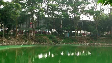 Emerald Pond Video stock 11108930