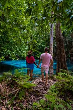 Emerald pool and Blue pool, trees and mangroves, crystal clear water Emerald Stock Photos