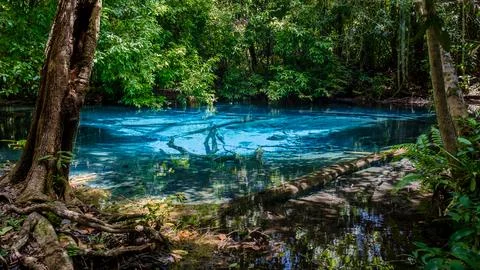 Emerald pool and Blue pool in Krabi Thailand, tropical lagoon in national park Fotos Stock