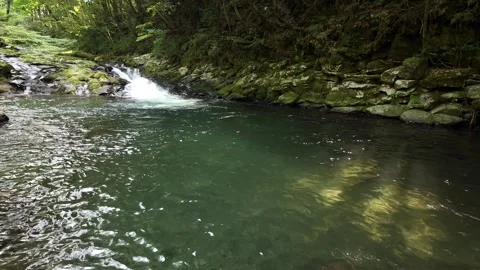 Emerald Pool and Small Cascade in Forest, Izu, Japan (4K) Stock Footage 341364825