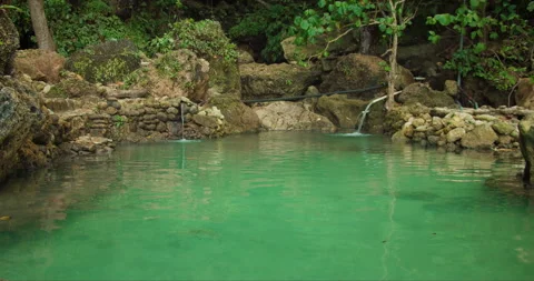 Emerald Pool in Forested Grotto. Lush greenery near tranquil natural pool Stock Footage 264650051
