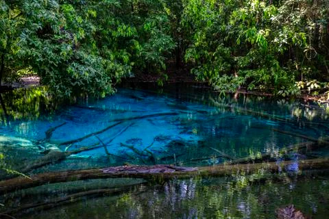 Emerald Pool-Krabi Stock-Fotos