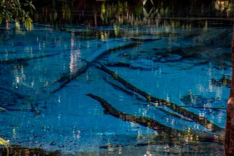 Emerald Pool-Krabi Stock Photos