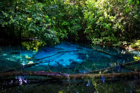 Emerald Pool-Krabi Stock Photos