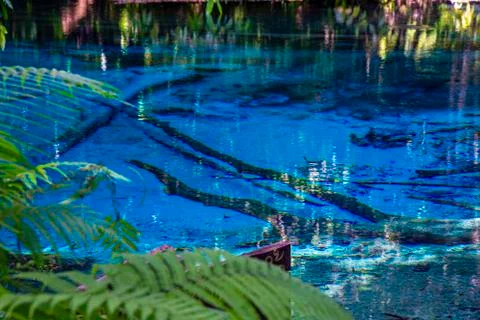 Emerald Pool-Krabi 스톡 사진