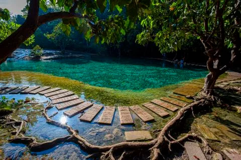 Emerald Pool-Krabi Stock Photos