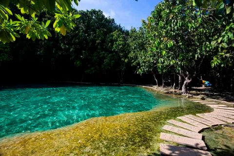 Emerald Pool-Krabi Stock Photos