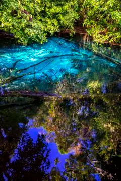 Emerald Pool-Krabi Stock Photos