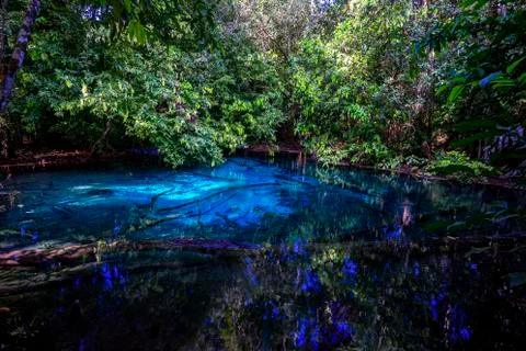 Emerald Pool-Krabi Stock Photos