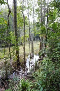 Emerald Pool Foto stock