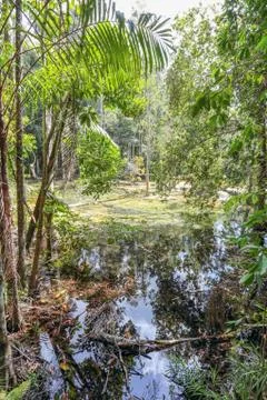 Emerald Pool Foto stock