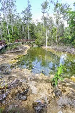 Emerald Pool Stock Photos