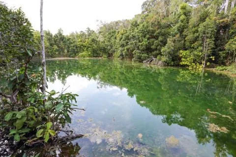 Emerald Pool Stock Photos