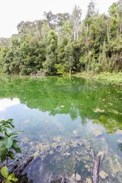 Emerald Pool Stock Photos