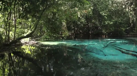 Emerald pool in Thailand Stock Footage 44914762