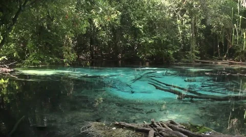 Emerald pool in Thailand Stock Footage 44914785