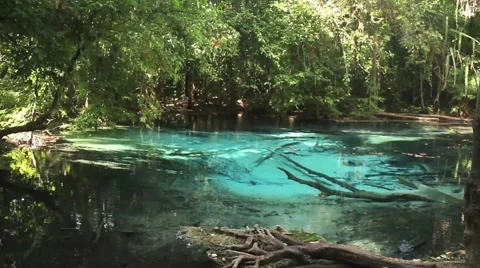 Emerald pool in Thailand Stock Footage 44914823