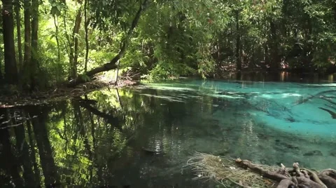 Emerald pool in Thailand Stock Footage 44914850