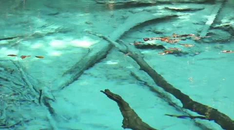 Emerald pool in Thailand Stock Footage 44914877