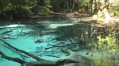 Emerald pool in Thailand Stock Footage 44914894