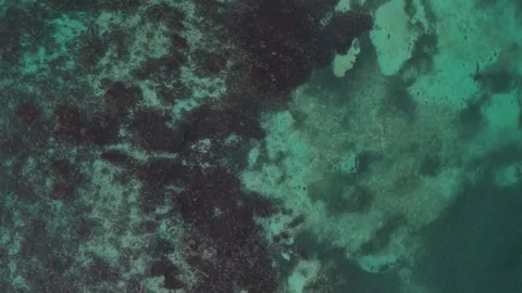 Emerald reef Video stock 342127537