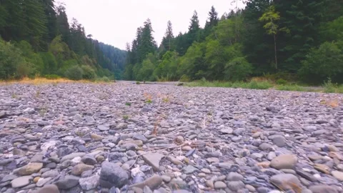 Emerald Ridge and Tall Trees Trail, Redwood National Park Rocky Riverbed Stock Footage 332412342